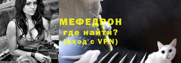 спиды Вяземский