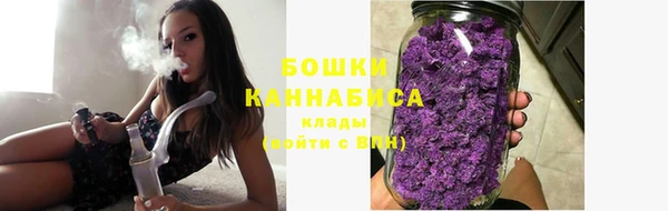 мет Лагань