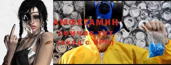спиды Вяземский